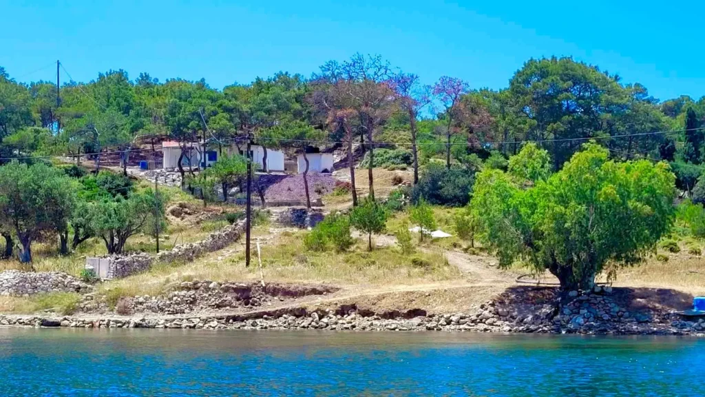 Natural coastal landscape with trees and shoreline on Telendos Island Greece